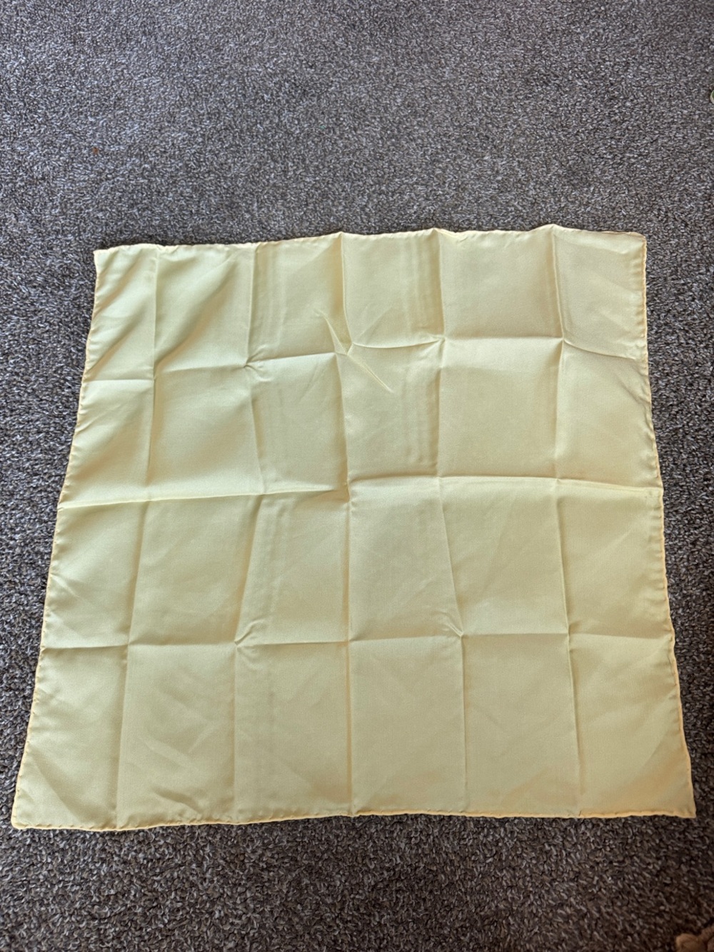 Vintage Qiana Nylon Pocket Square